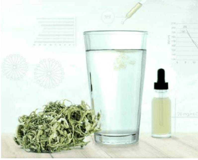 Carolina Dream CBD, THC, and CBN gummies and tinctures – hemp-derived, fast-acting, and formulated for sleep, stress, and focus