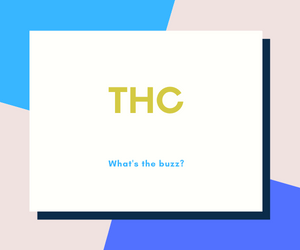 Carolina Dream CBD, THC, and CBN gummies and tinctures – hemp-derived, fast-acting, and formulated for sleep, stress, and focus