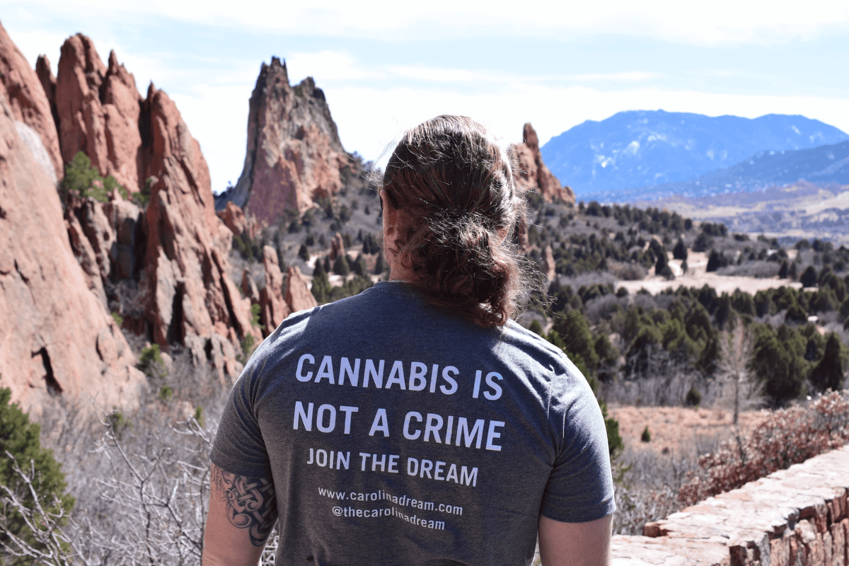 A person wearing a t-shirt that reads 'CANNABIS IS NOT A CRIME' in a scenic outdoor location, representing Apparel & T-Shirts.