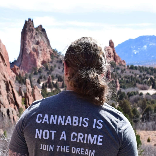 Person wearing Cannabis Is Not A Crime T-Shirt in a natural landscape with mountains.