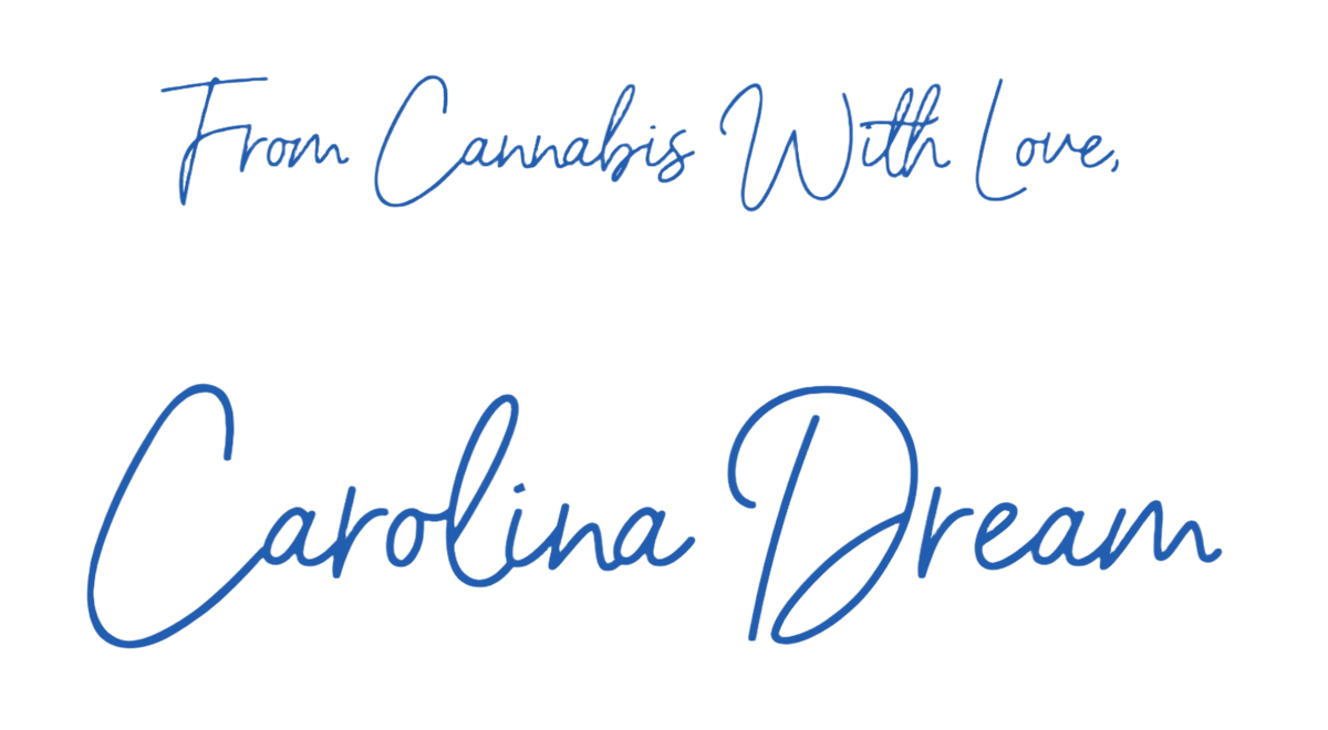 Carolina Dream CBD, THC, and CBN gummies and tinctures – hemp-derived, fast-acting, and formulated for sleep, stress, and focus